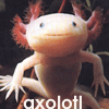You sure do axolotl little questions.